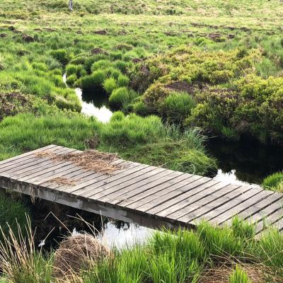 Balade Hautes fagnes