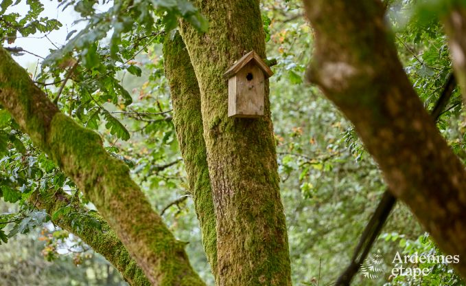 Gte insolite  Bertrix pour 4/6 personnes en Ardenne