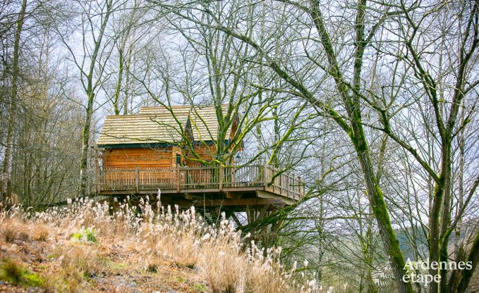 Gte insolite  Bertrix pour 4/6 personnes en Ardenne