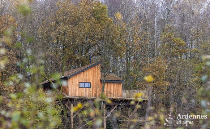 Cabane perche  Bertrix en Ardenne