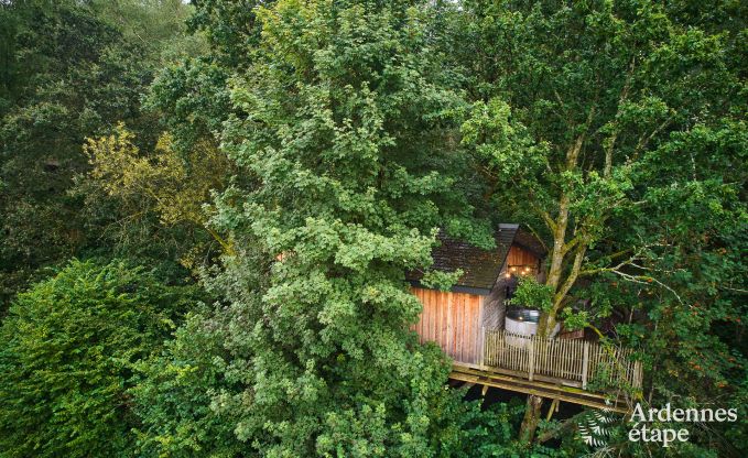 Cabane perche  Bertrix en Ardenne