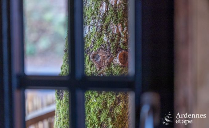 Cabane perche  Bertrix en Ardenne