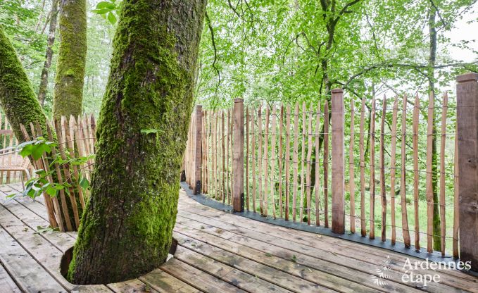 Cabane dans les arbres  Bertrix, Ardenne