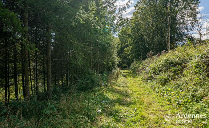 Maison de vacances avec sauna  Bertrix, Ardenne belge