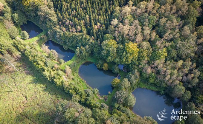 Maison de vacances avec sauna  Bertrix, Ardenne belge