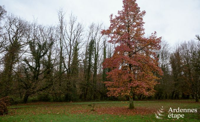 Maison de vacances  Bouillon pour 6/8 personnes en Ardenne