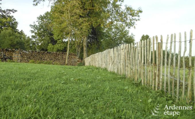 Maison de vacances  Btgenbach (Manderfeld) pour 4 personnes en Ardenne