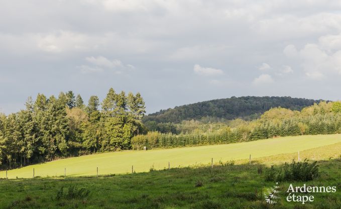 Spacieuse maison de vacances avec piscine  Dinant, Ardenne