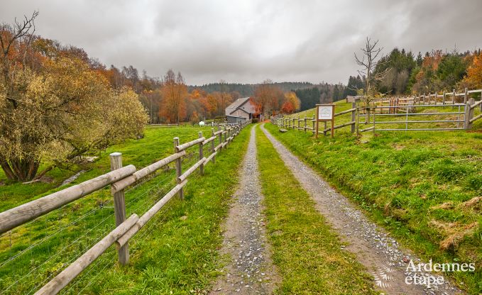 Maison de vacances  Fauvillers pour 10 personnes en Ardenne