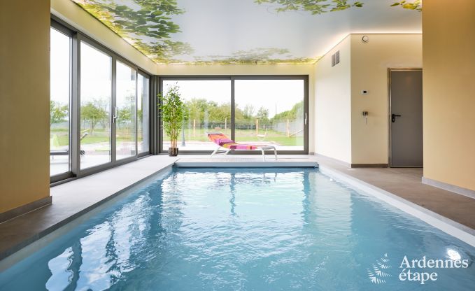 Maison de vacances avec piscine intrieure  Froidchapelle, Ardenne