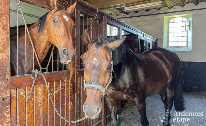 Chteau  Gembloux pour 9 personnes en Ardenne