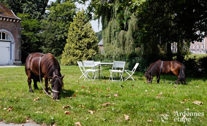 Chteau  Gembloux pour 9 personnes en Ardenne