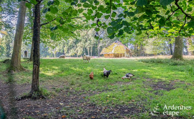 Maison chien admis confortable pour 4 personnes  Gesves, Ardenne