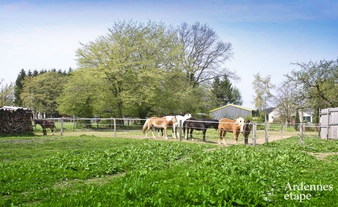 Maison de vacances  Gouvy pour 23 personnes en Ardenne