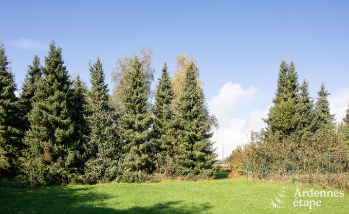 Maison de vacances  Hamois pour 8 personnes en Ardenne