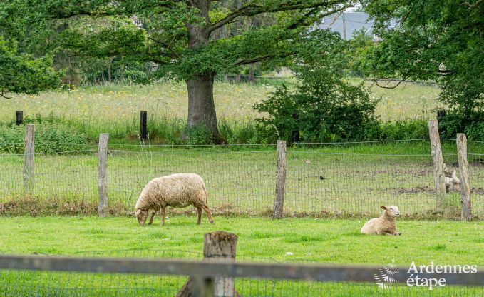 Charmante maison de vacances  Han-sur-Lesse; Ardenne