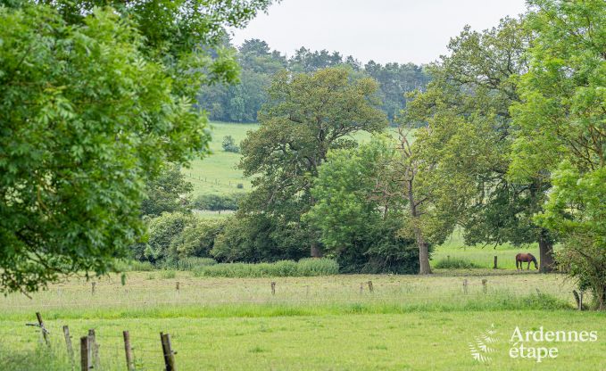 Charmante maison de vacances  Han-sur-Lesse; Ardenne