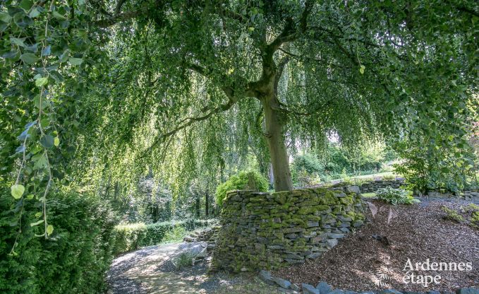 Villa de Luxe  Houffalize pour 24 personnes en Ardenne