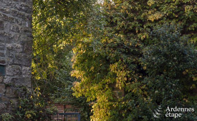 Maison de vacances  Huy pour 15 personnes en Ardenne