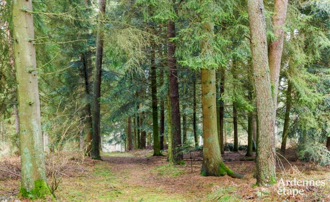 Villa de Luxe  La Roche-En-Ardenne pour 9 personnes en Ardenne