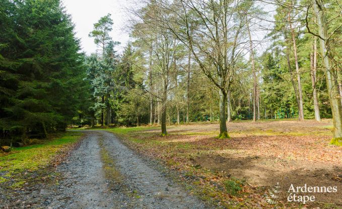 Villa de Luxe  La Roche-En-Ardenne pour 9 personnes en Ardenne