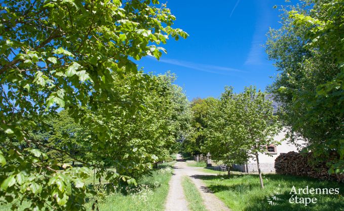 Maison de vacances  Libramont-Chevigny pour 2 personnes en Ardenne