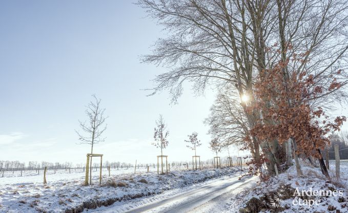 Maison de vacances  Libramont pour 10 personnes en Ardenne