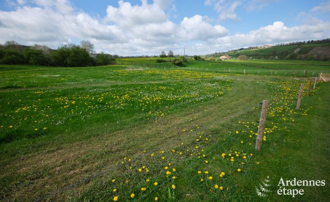 Villa de vacances confortable pour 14  Limbourg, Ardenne