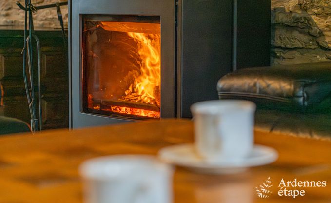 Maison de vacances  Neufchteau pour 8 personnes en Ardenne