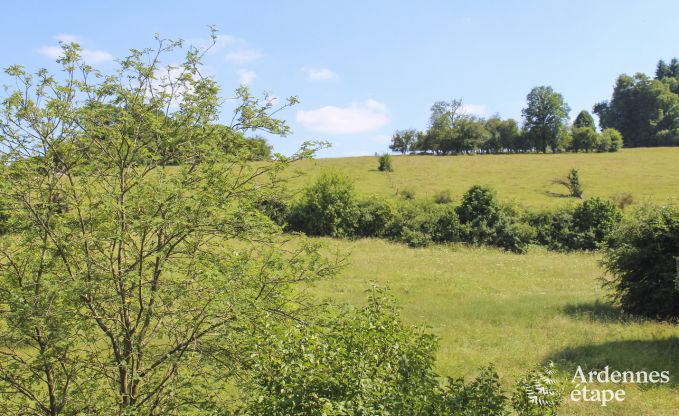 Maison de vacances  Onhaye pour 13/15 personnes en Ardenne