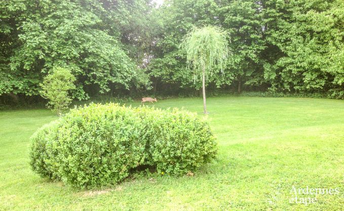 Maison de vacances  Oteppe pour 2 personnes en Ardenne