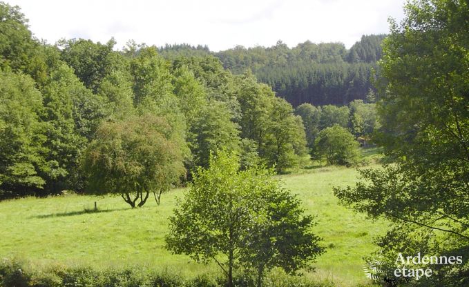 Maison de vacances  Paliseul pour 22 personnes en Ardenne