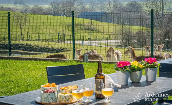 Maison de vacances luxueuse et chien admis avec piscine  Sainte-Ode, Ardenne