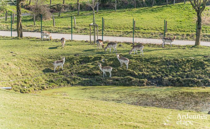 Maison de vacances luxueuse et chien admis avec piscine  Sainte-Ode, Ardenne