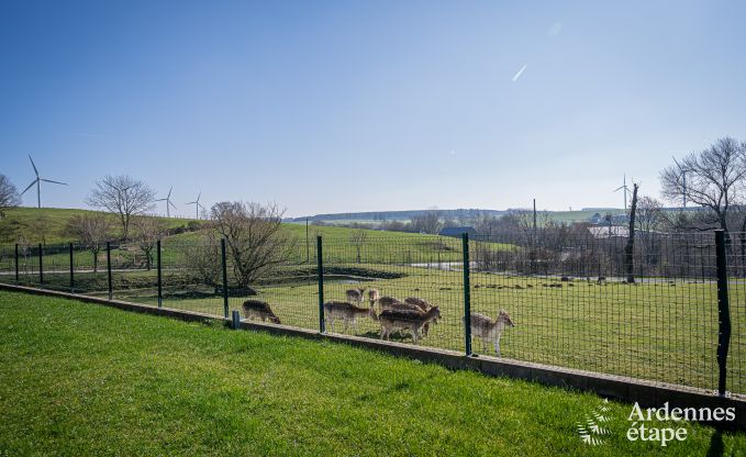 Maison de vacances familiale confortable avec piscine  Sainte-Ode, Ardenne