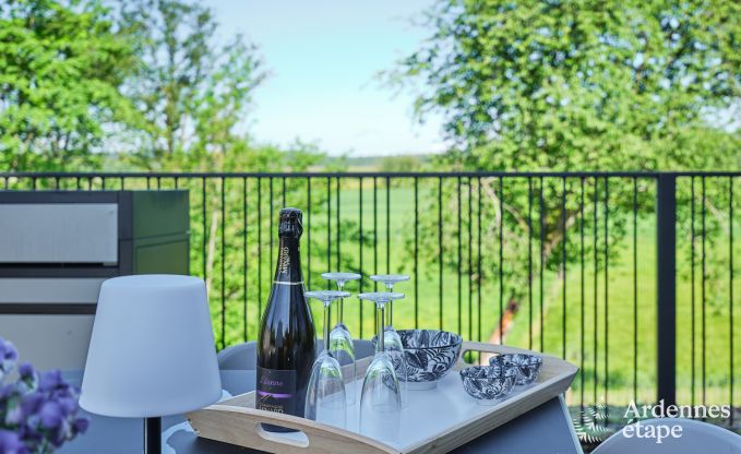 Maison de vacances confortable et luxueuse avec bain nordique  Somme-Leuze, Ardenne