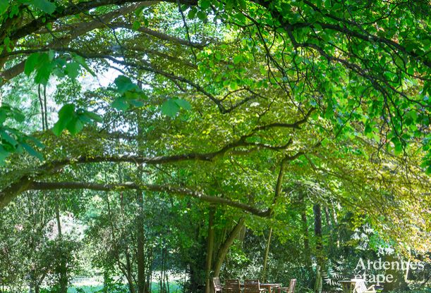 Villa de luxe de caractre pour 26  Spa, Hautes Fagnes