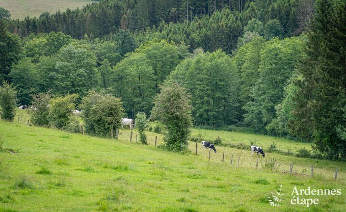 Ancienne grange rnove pour 10 personnes sur les Ctes de Wanne