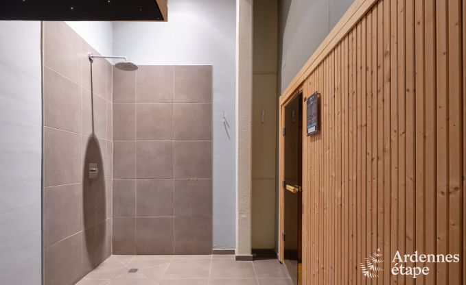 Gte luxueux avec centre wellness priv  Vaux-sur-Sre : sauna, jacuzzi, hammam et espace dtente juste pour vous