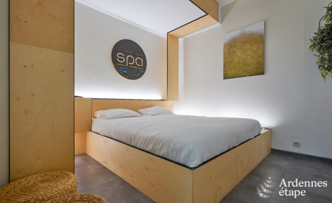 Gte luxueux avec centre wellness priv  Vaux-sur-Sre : sauna, jacuzzi, hammam et espace dtente juste pour vous