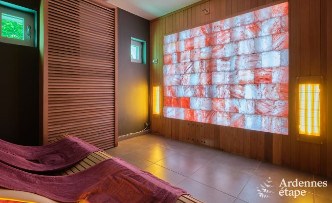 Gte luxueux avec centre wellness priv  Vaux-sur-Sre : sauna, jacuzzi, hammam et espace dtente juste pour vous