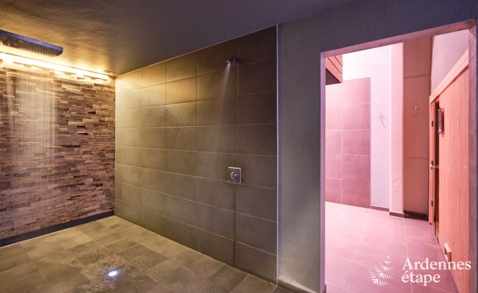 Gte luxueux avec centre wellness priv  Vaux-sur-Sre : sauna, jacuzzi, hammam et espace dtente juste pour vous