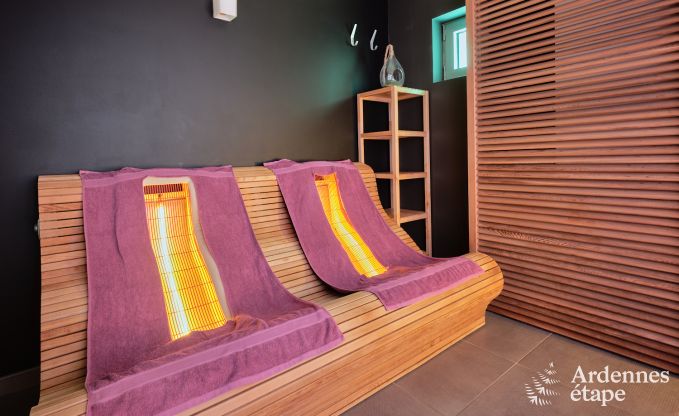 Gte luxueux avec centre wellness priv  Vaux-sur-Sre : sauna, jacuzzi, hammam et espace dtente juste pour vous