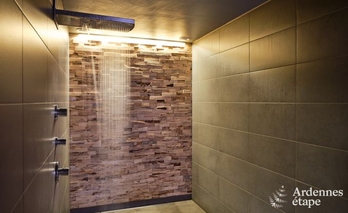 Gte luxueux avec centre wellness priv  Vaux-sur-Sre : sauna, jacuzzi, hammam et espace dtente juste pour vous