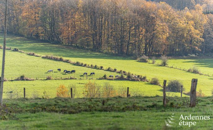 Chalet  Vencimont pour 10 personnes en Ardenne