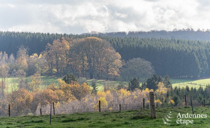 Chalet  Vencimont pour 6 personnes en Ardenne