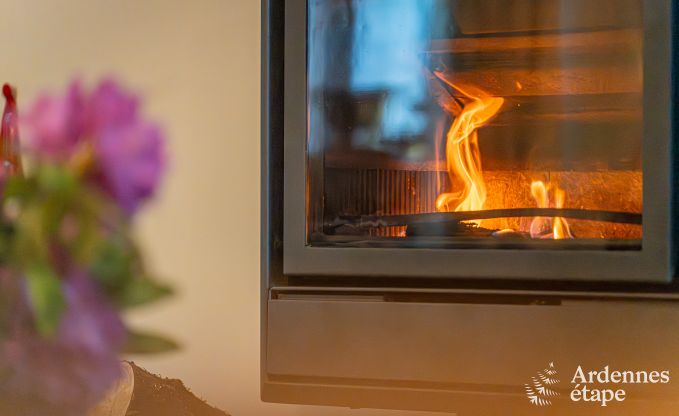 Sjour en famille  Vielsalm : maison de charme pour 6 personnes avec jardin priv en plein cur de l'Ardenne